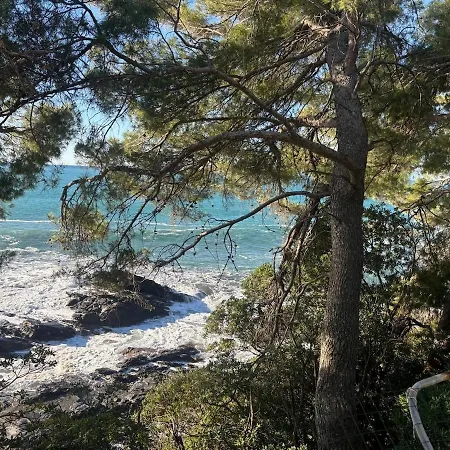 Apartment Finestra Sul Mare 1 - A Window On The Sea 1 - Nervi - *