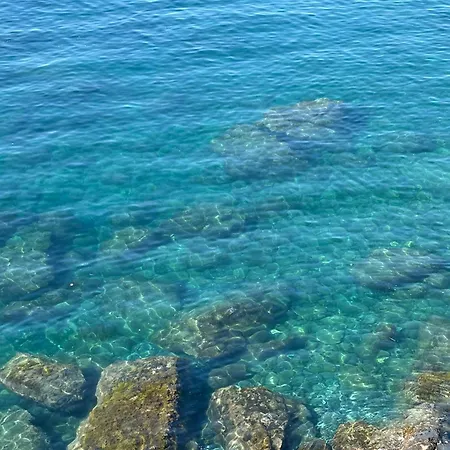Finestra Sul Mare 1 - A Window On The Sea 1 - Nervi - Apartment *