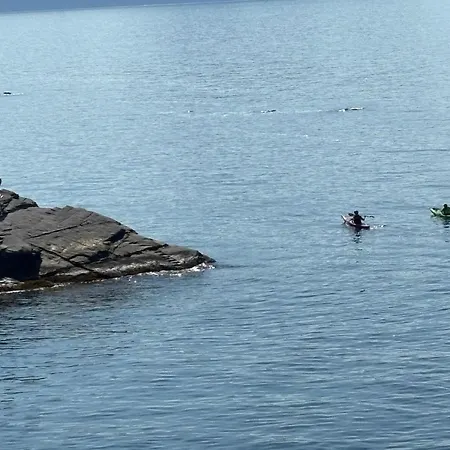 Lejlighed Finestra Sul Mare 1 - A Window On The Sea 1 - Nervi - *