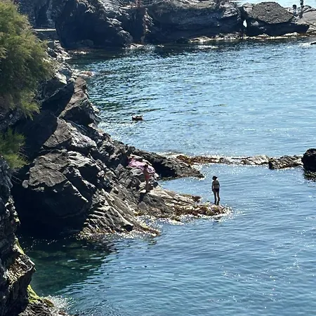 Apartment Finestra Sul Mare 1 - A Window On The Sea 1 - Nervi - *