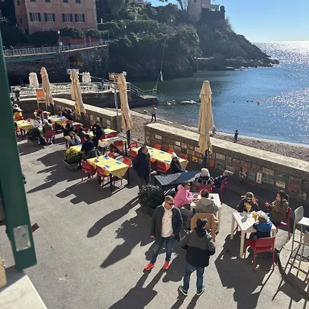 Finestra Sul Mare 1 - A Window On The Sea 1 - Nervi - Apartment