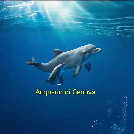 דירה Finestra Sul Mare 1 - A Window On The Sea 1 - Nervi -