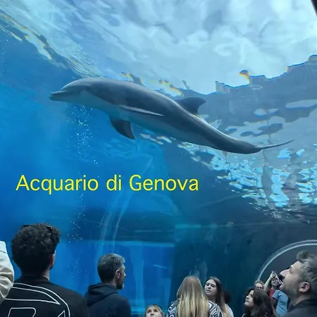 Finestra Sul Mare 1 - A Window On The Sea 1 - Nervi - דירה ג'נובה