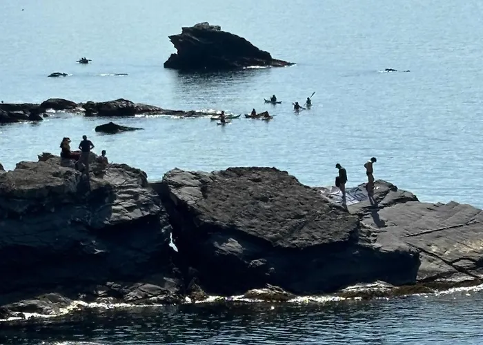 Apartmán Finestra Sul Mare 1 - A Window On The Sea 1 - Nervi - Janov