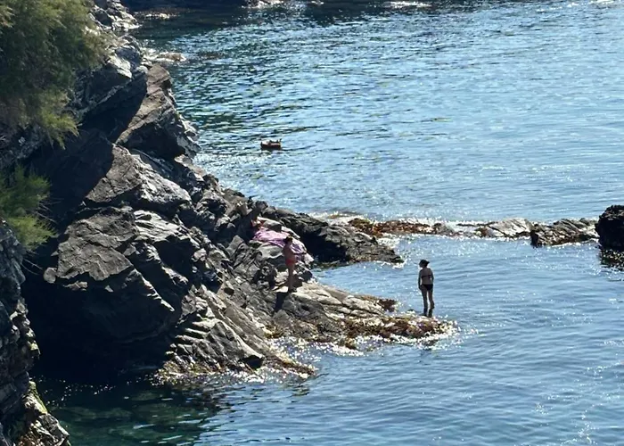 Apartment Finestra Sul Mare 1 - A Window On The Sea 1 - Nervi - *